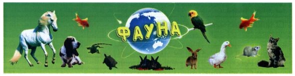 фауна