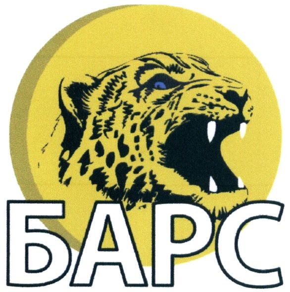 барс