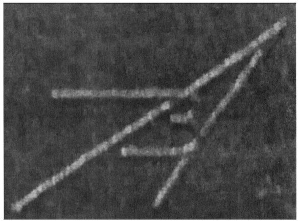 аз