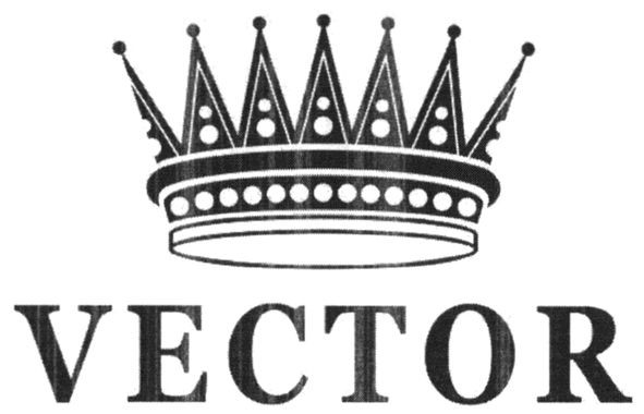 vector