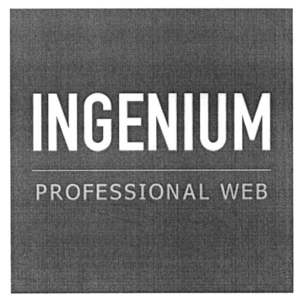 professional web