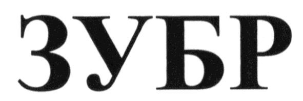 зубр