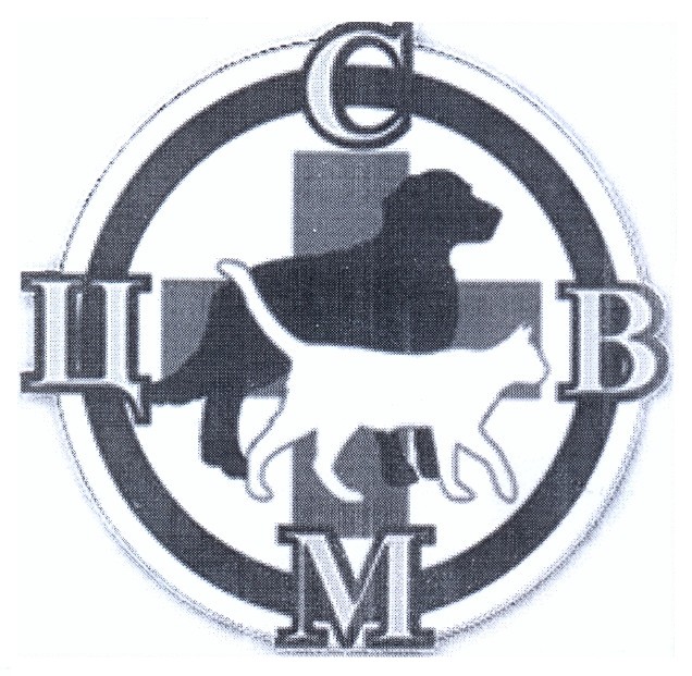 цсвм