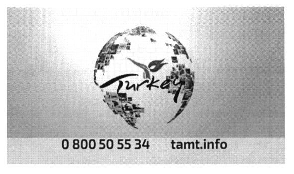 tamt.info