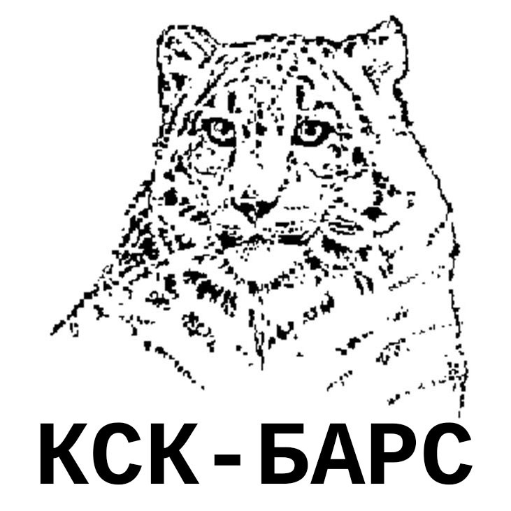кск-барс