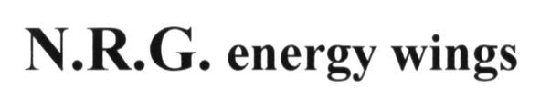 n.r.g. energy wings