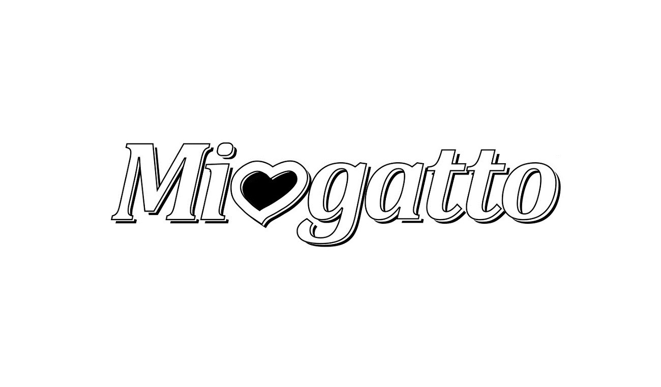 miogatto