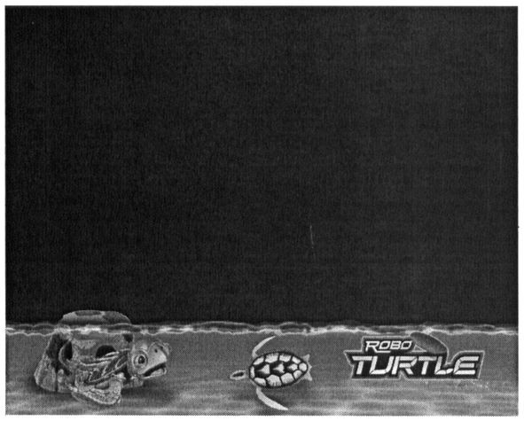 robo turtle