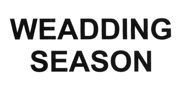 weadding season