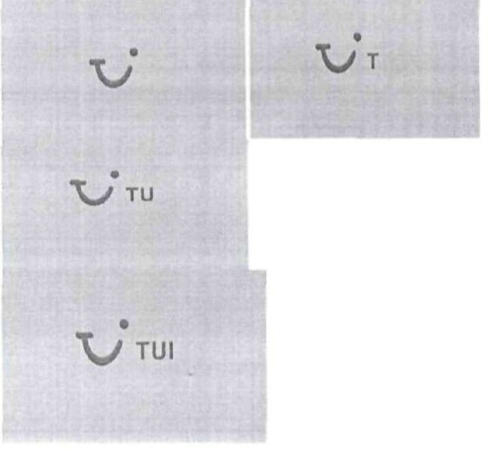 Лого ТМ tui