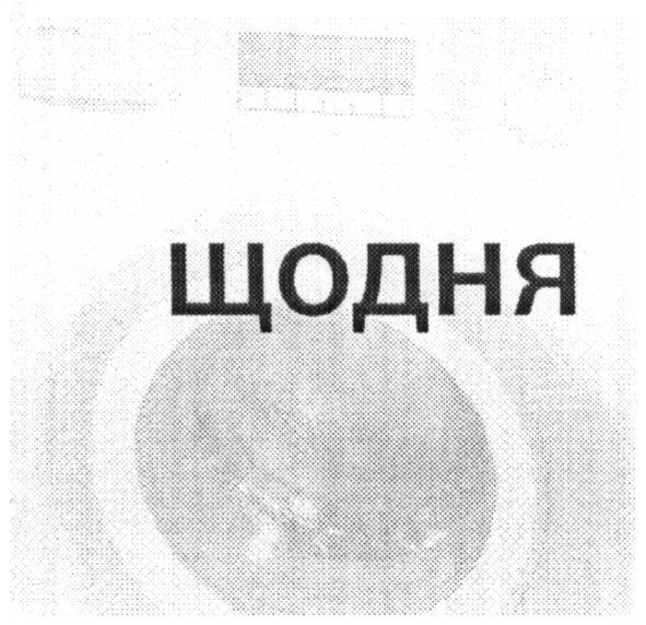щодня