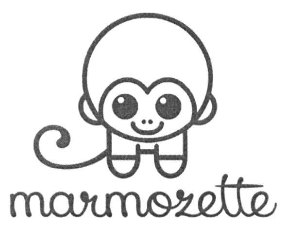 marmozette