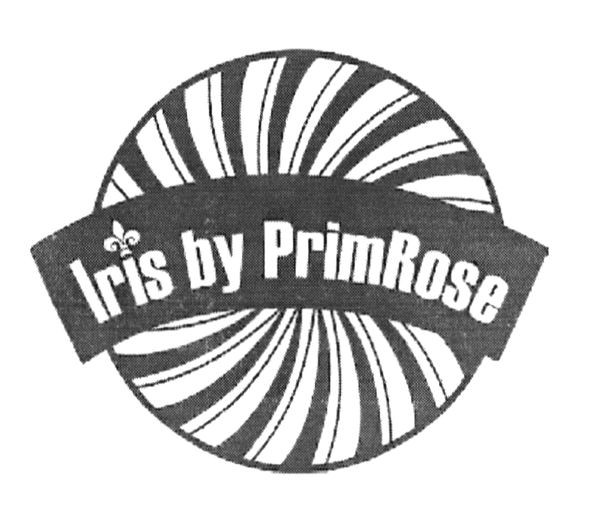 iris by primrose