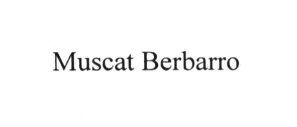 muscat berbarro