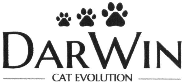 darwin cat evolution