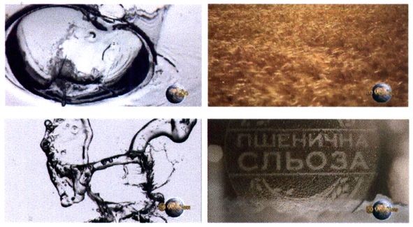 пшенична сльоза