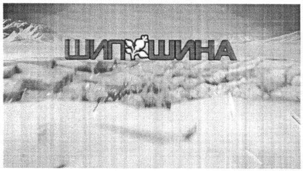 шипшина
