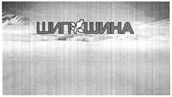 шипшина