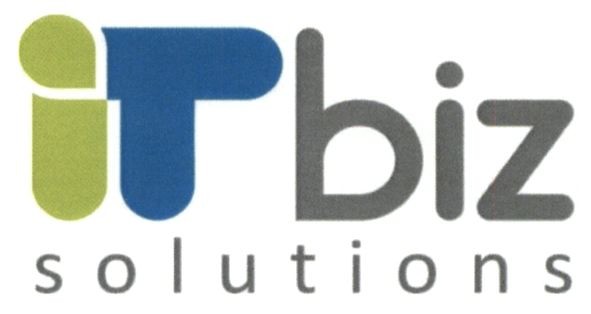 it biz solutions
