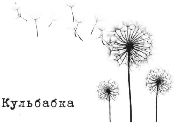 кульбабка