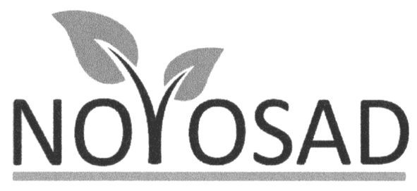 novosad
