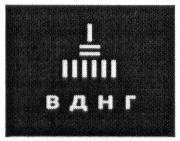 вднг