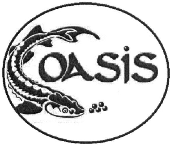 oasis