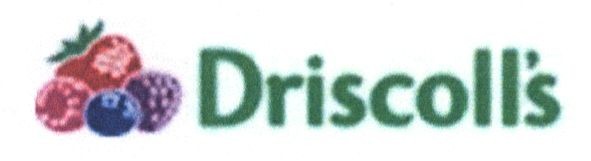 driscoll`s