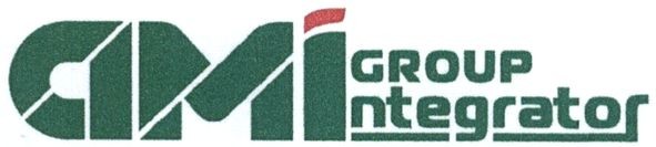 ami group integrator