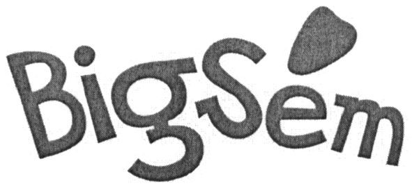 bigsem