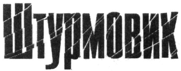 штурмовик