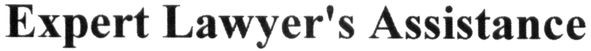 expert lawyer`s assistance