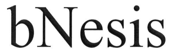 bnesis