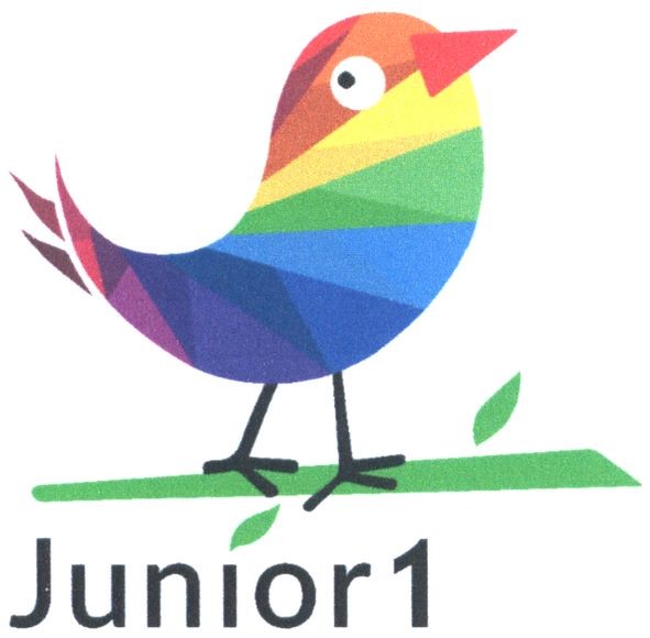 junior 1