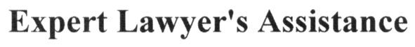 expert lawyer`s assistance