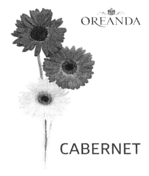 cabernet