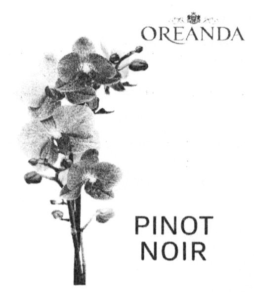 pinot noir