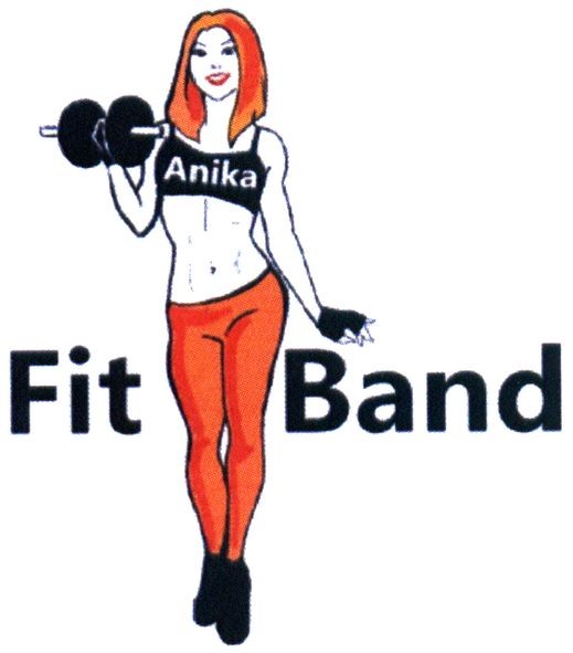 fit band