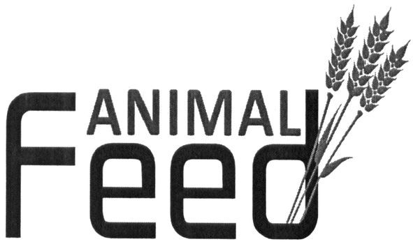 animal feed