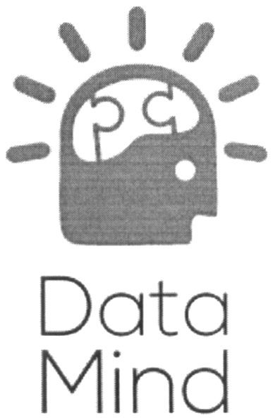 data mind