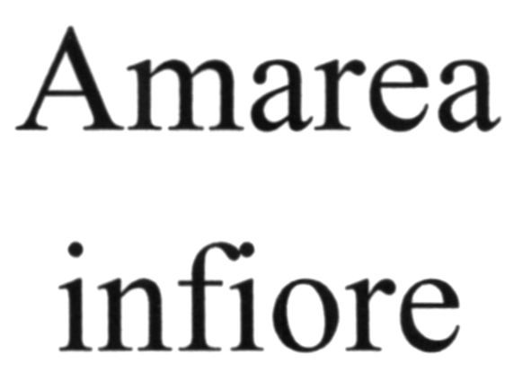 amarea infiore