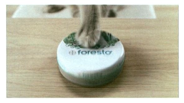 foresto