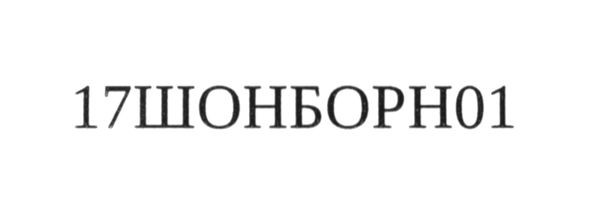 17шонборн01