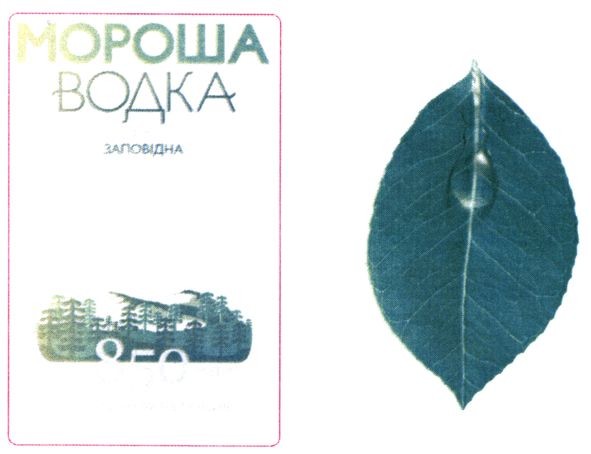 мороша водка заповідна