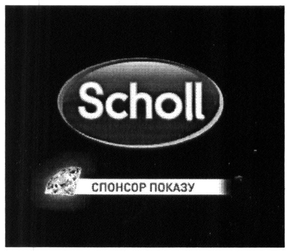 спонсор показу
