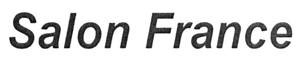 salon france