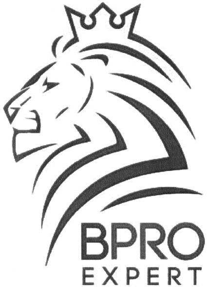 bpro expert