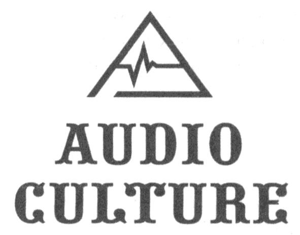 audio culture