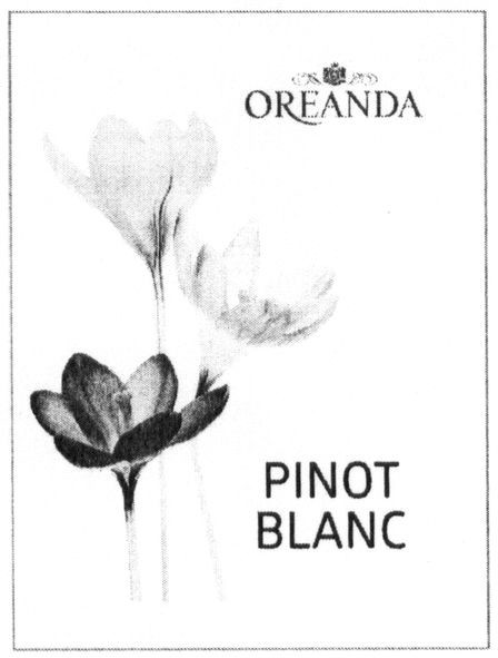 pinot blanc