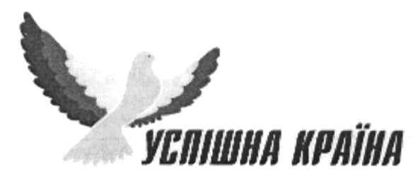 успішна країна
